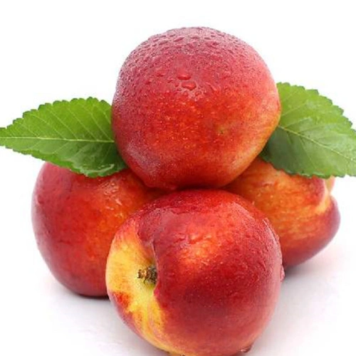 Fresh Hairless Peach Nectarine China Manufacturer