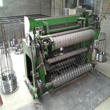 Berkualiti tinggi Galvanized Welded Wire Mesh Roll