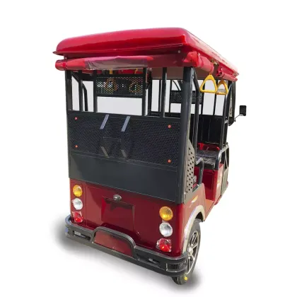 Hot Selling Electric Tricycles: Passenger Tuk Tuk & 3 Wheeler Electric Trikes