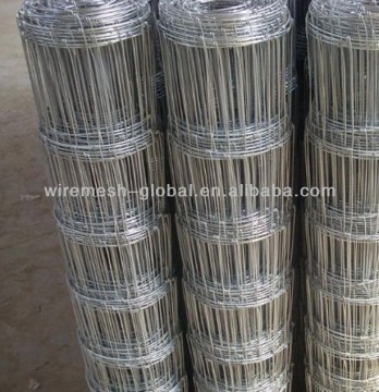 Hot Sale Field Fence