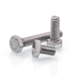 SS304 Hex Head Bolt M12