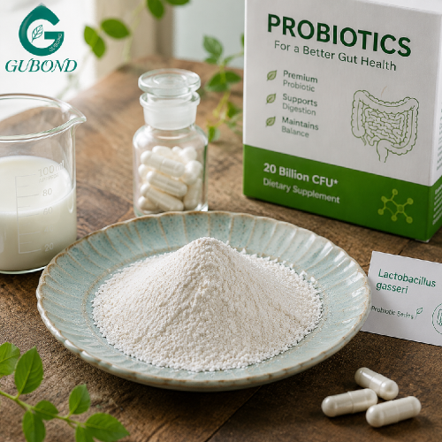 Ingrediente probiótico Lactobacillus Gasseri
