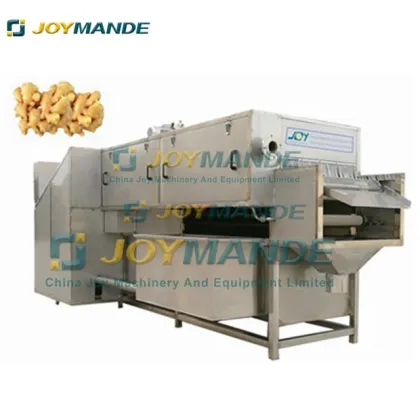 High Capacity Ginger Washer: Big Ginger Cleaning Machine