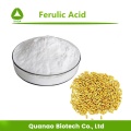 Extracto de salvado de arroz Acido ferulico 98% Polvo Skincare