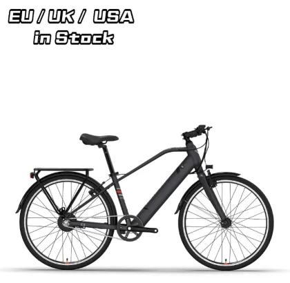 Customized Trek E Mountain Bike