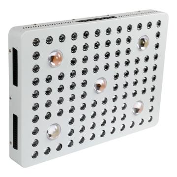 Polônia Stock Cree COB LED Grow Light