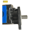 Excavator dual gear pump