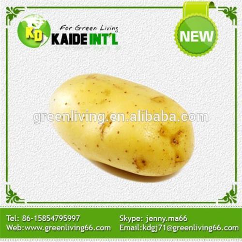 Fresh Potatoes For United Kingdom