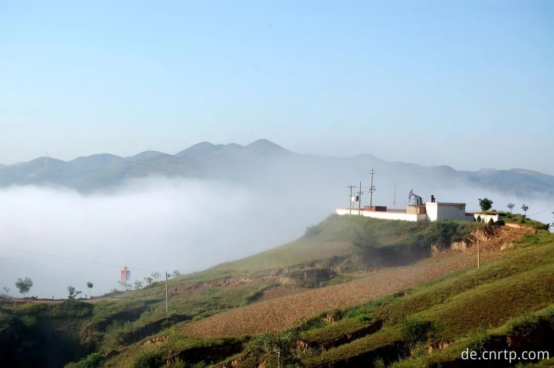 Hengshan Oil Production Plant