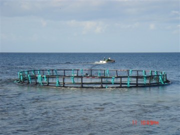 HDPE Cage