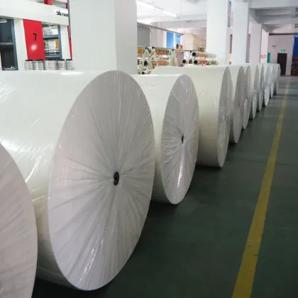 Wholesale Direct Poly Coated Paperboard Rolls by Manufacturers