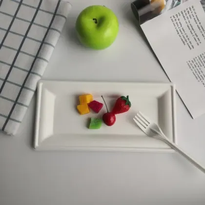 Eco-Friendly Disposable Tableware