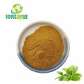 Lemon balm extract​ powder​