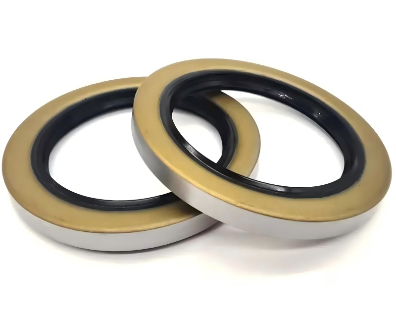 PTFE oil seal