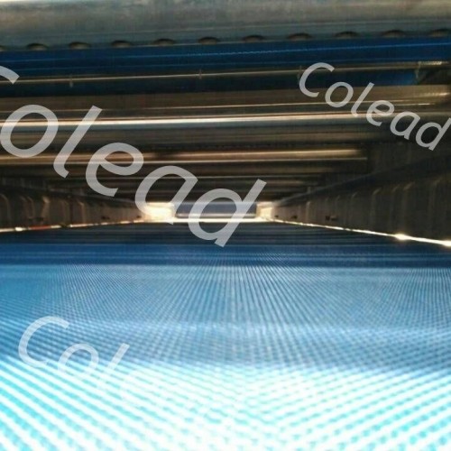 Single Layer Mesh Belt Air Dryer for vegetable