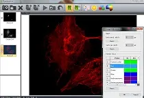 OEM, ODM Microscope / Industrial Cameras