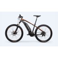 Cube E Mountainbike Lixa