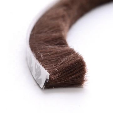 Self-Adhesive Aluminum Door and Window Dust-Proof Weatherstrip: Keeping Your Home Insulated and Clean