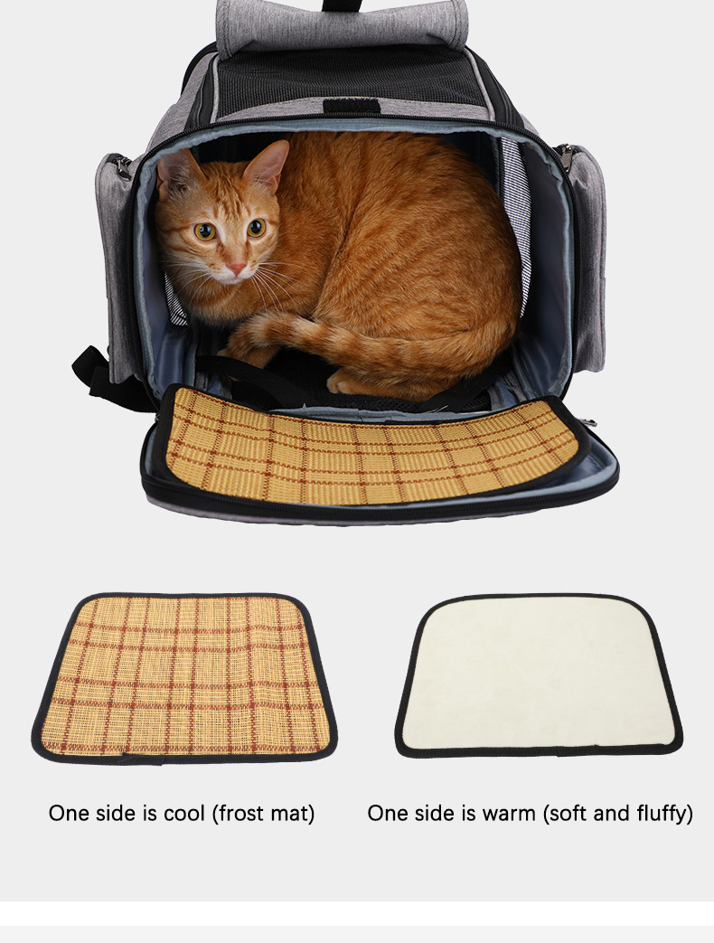 Pet Travel Carrier