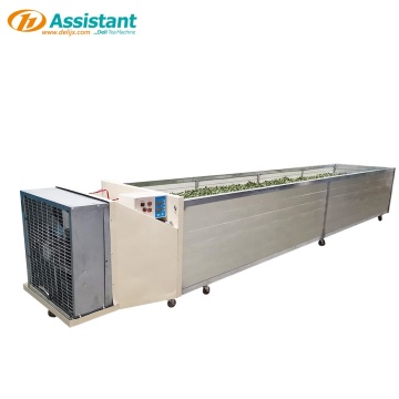 DL-6CWD-580 ชาขนาดกลางเครื่องเหี่ยวแห้งสำหรับการผลิตชาเขียวและดำ