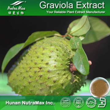 100% Natural Graviola/Annona Squamosa Extract (4: 1~20: 1 by TLC)