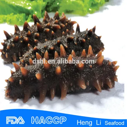 Premium quality sea cucumber