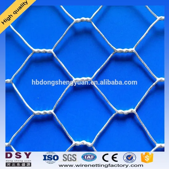 Cheap Wire Mesh 80x100mm Plastic Hexagonal Gabion Wire Mesh