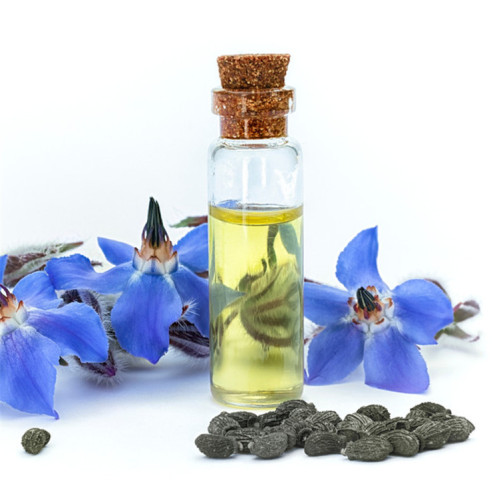 Borage Huile essentielle d&#39;huile de graines pour les soins de santé