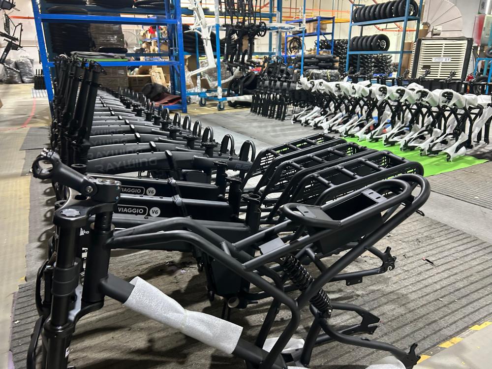 both manual pedaling and electric assist modes