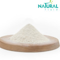 High Quality Naturalnf Genistein Powder