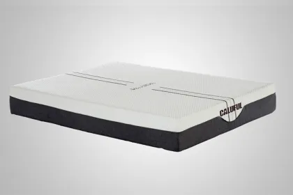 Natural Sleep 8-Inch Talalay Latex Foam Mattress