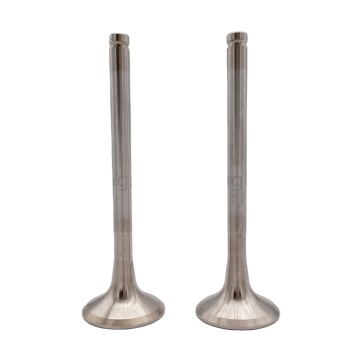 Professional Manufacturing Control Engine Exhaust Valve 612600050025/61560050006 Machinery Exhaust Valve, Exhaust Valve Assembly