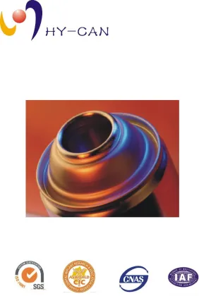 aerosol spray Mosquito Spray 400ml guangzhou manufacturer