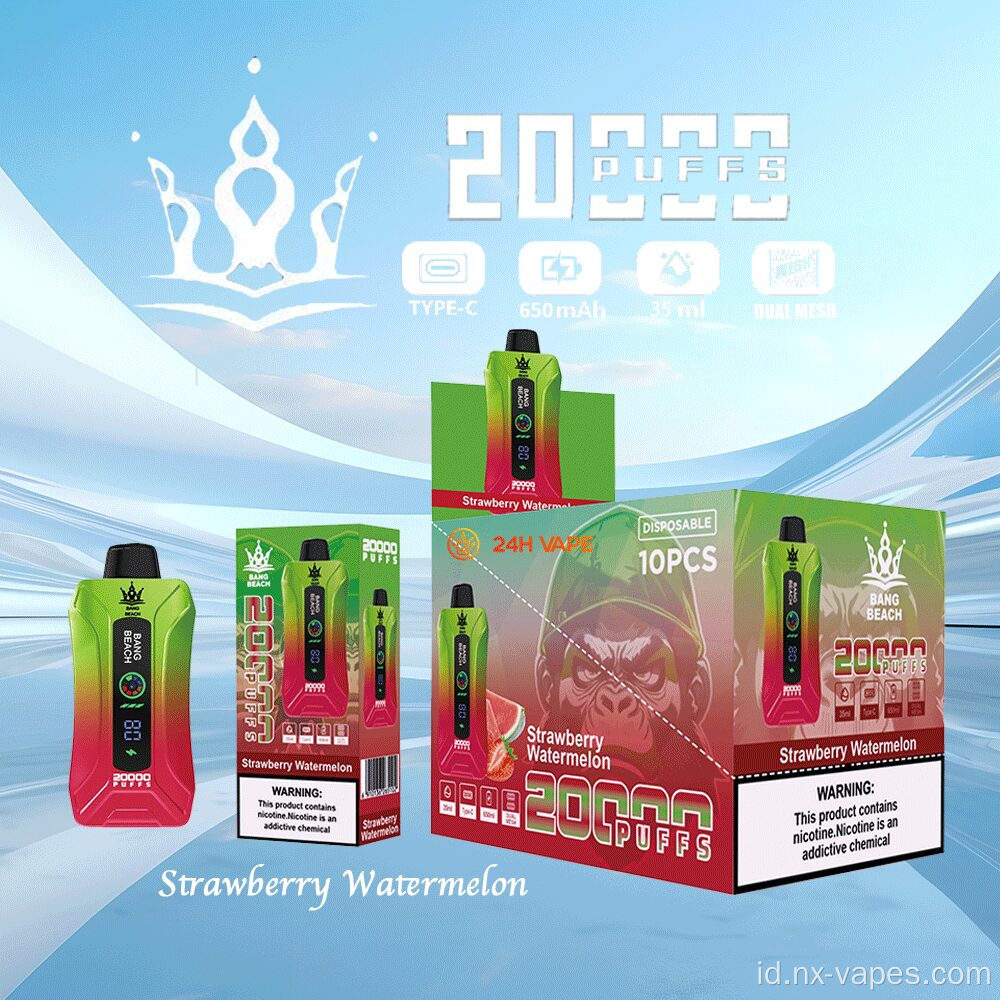 Bang Beach 20000 Puffs Disposable Vapes Grosir