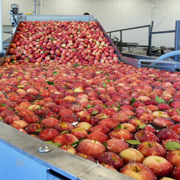 Commercial Apple Pear Fruit Juicer Production Line Machine