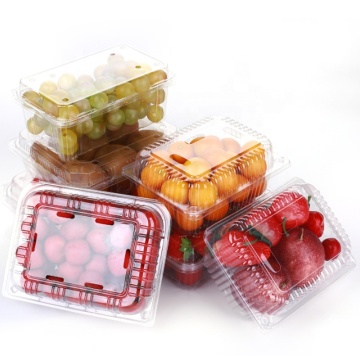 RPET/PET nhựa hộp đựng trái cây và ngao cho bao bì thực phẩm