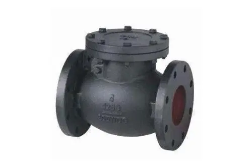 MSS SP 71 Swing Check Valve