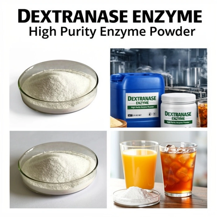 Dextrate Premium Dextranase for Industrial Use China Manufacturers Suppliers ...
