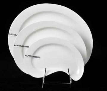 White porcelain for hotel restaurant and home dinner plate