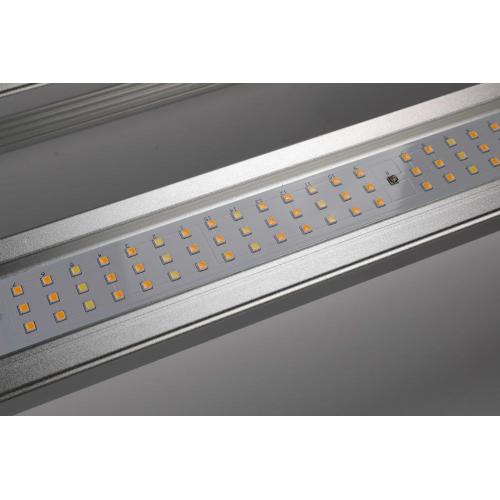 Led Grow Light dla roślin hydroponicznych z WiFi