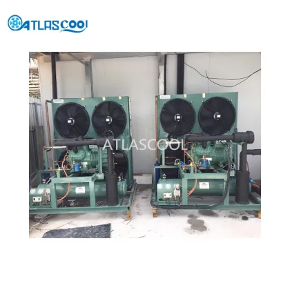 Industrial Walk in Blast Chiller Blast Freezer