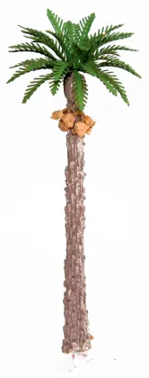 model tree copper tree