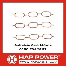 Audi Admissão Manifold Gasket 078129717J