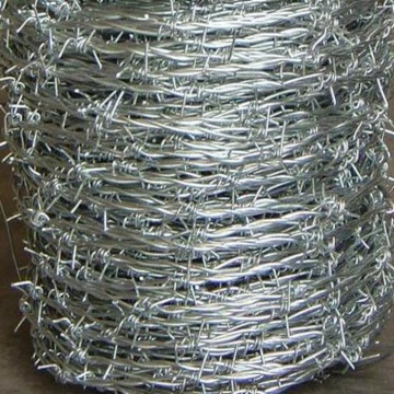Galvanized security fencing anti-climb blade barbed wire