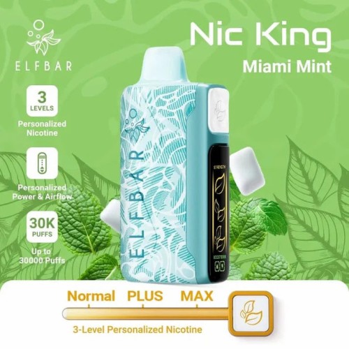 Elf Bar Nic king 30k พัฟ vape ดั้งเดิม