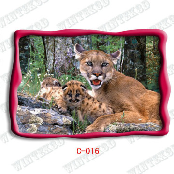 Animal Picture 3d Postcard 