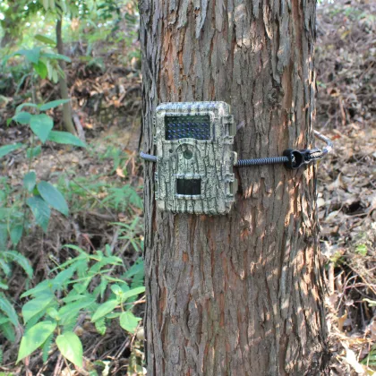 PIR Motion Sensing Wildlife Photography Camera​
