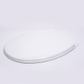 Unique Design Hot Sale Hygienic Luxury Toilet Seat