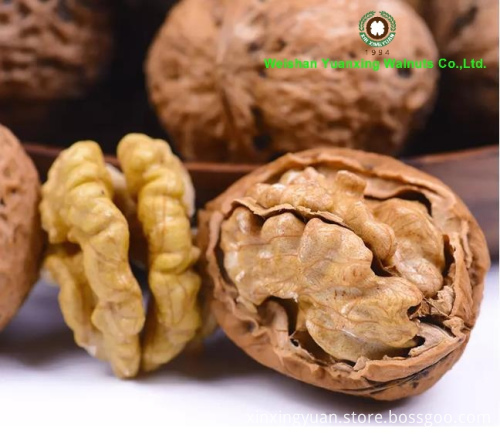 Factory price sale shelled walnut halves light color
