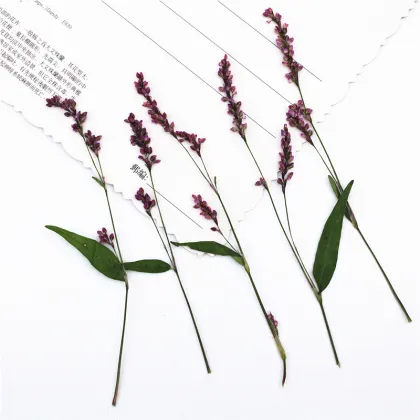 Rose Lily Safflower DIY Flower Art Pack